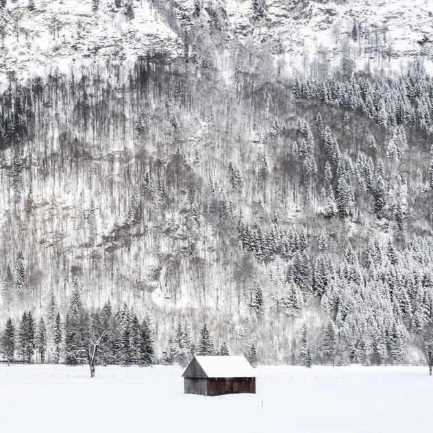 Зображення деревʼяного будинку на фоні снігу